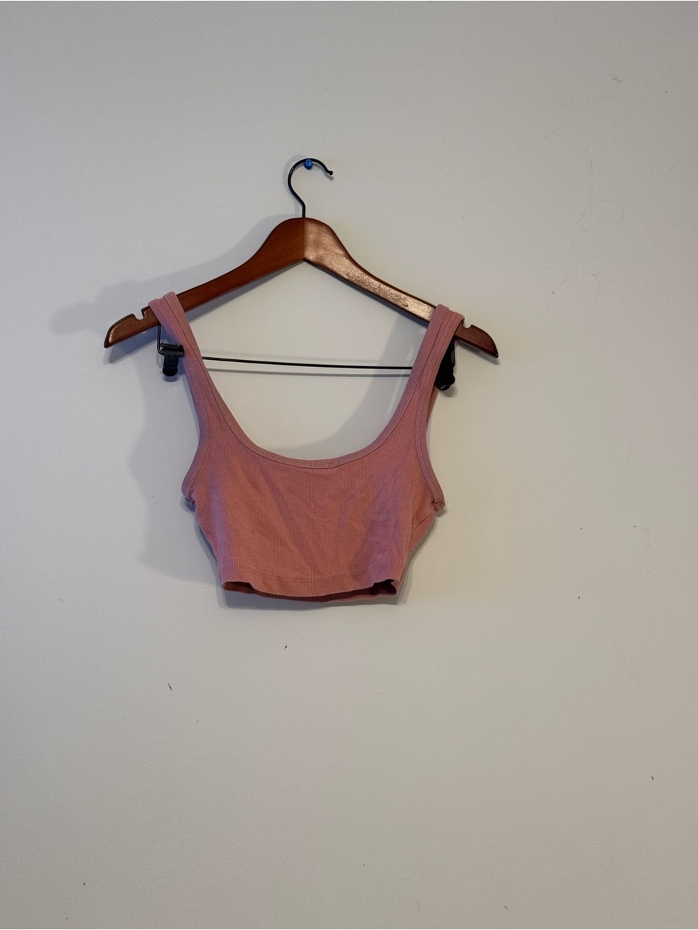 Zara Dusty Rose Scoop Neck Crop Top